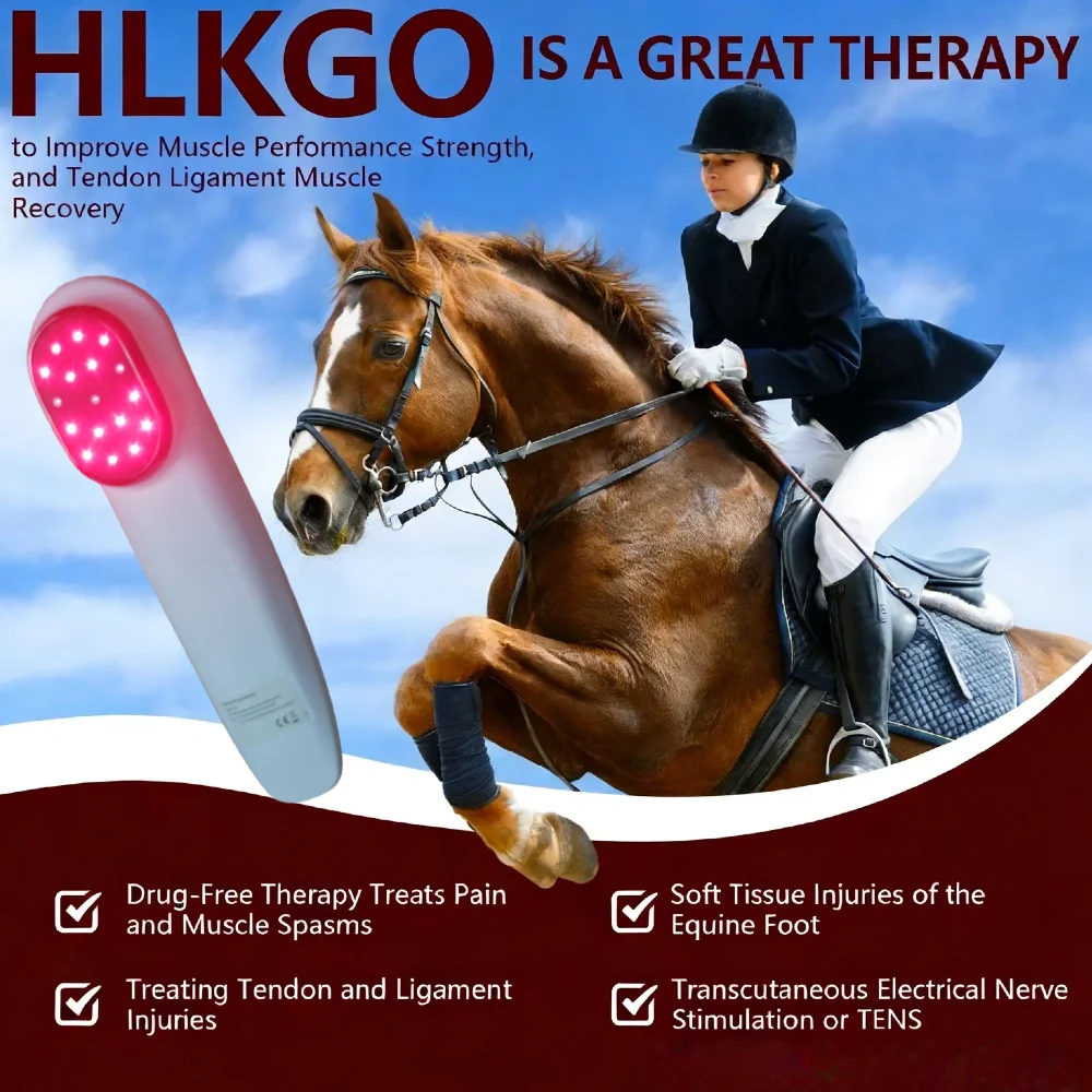 Clinic Grade Laser for Horses, 4x808nm Veterinary Device with TENS & Red Light for Severe Tendon and Ligament Injuries