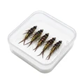 5pcs
