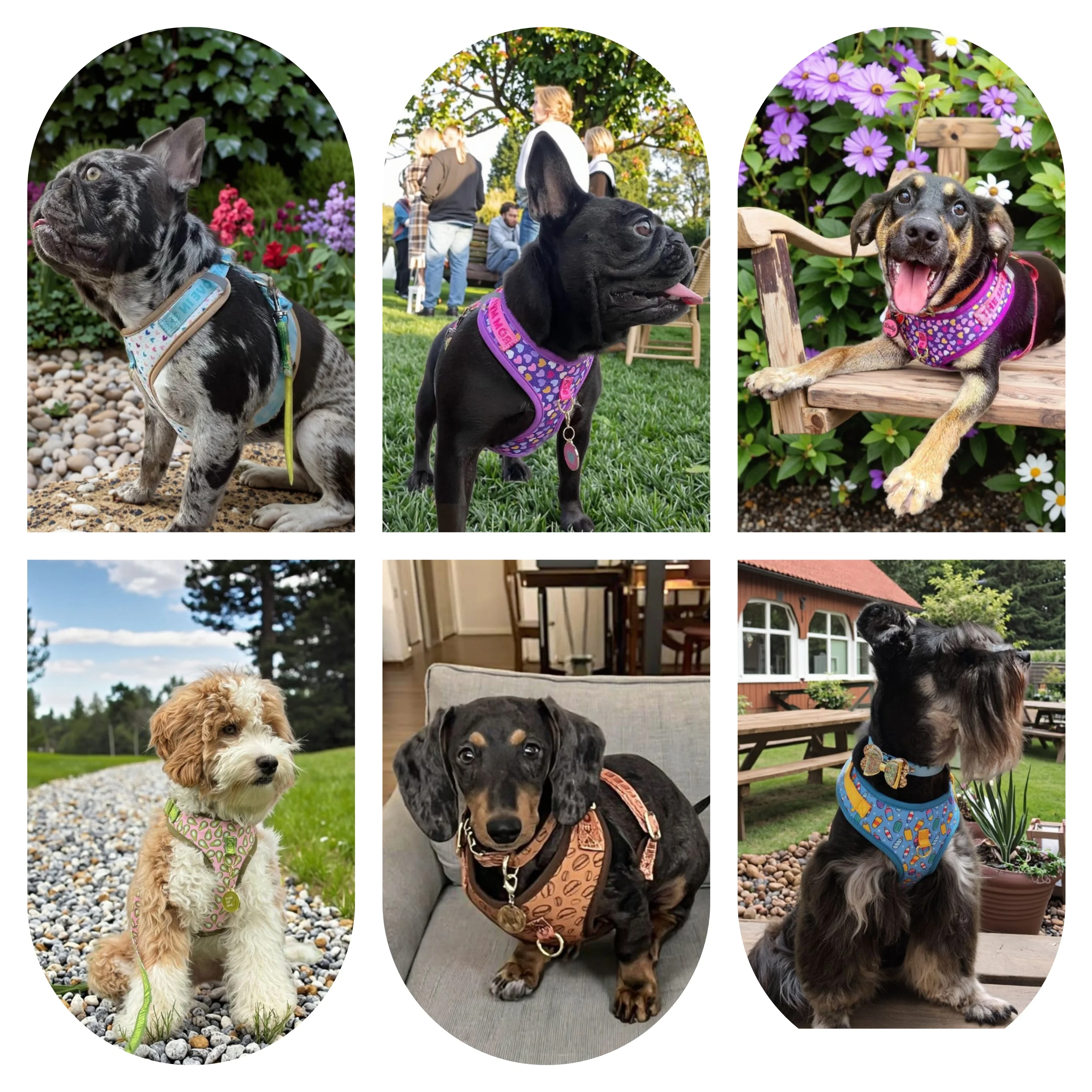 Romantic Holiday Curated Gift Light Luxury Adjustable Personalized Print Dog Harness + 1Pcs Tone Pet ID Tag Free With Purchase view 3