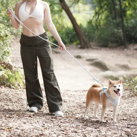 Arnês e trelas para cães pequenos e médios, conjunto de segurança sem puxar, forro confortável, forro estampado amor, suprimentos para animais de estimação, tendência nova