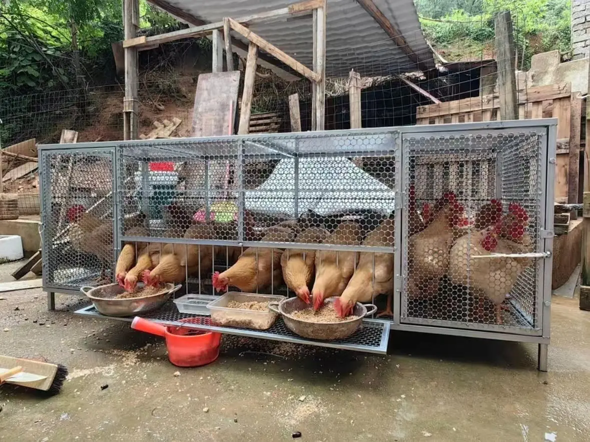 

Spire breeding cage chicken duck goose cage canopy anti weasel snake encryption thickened