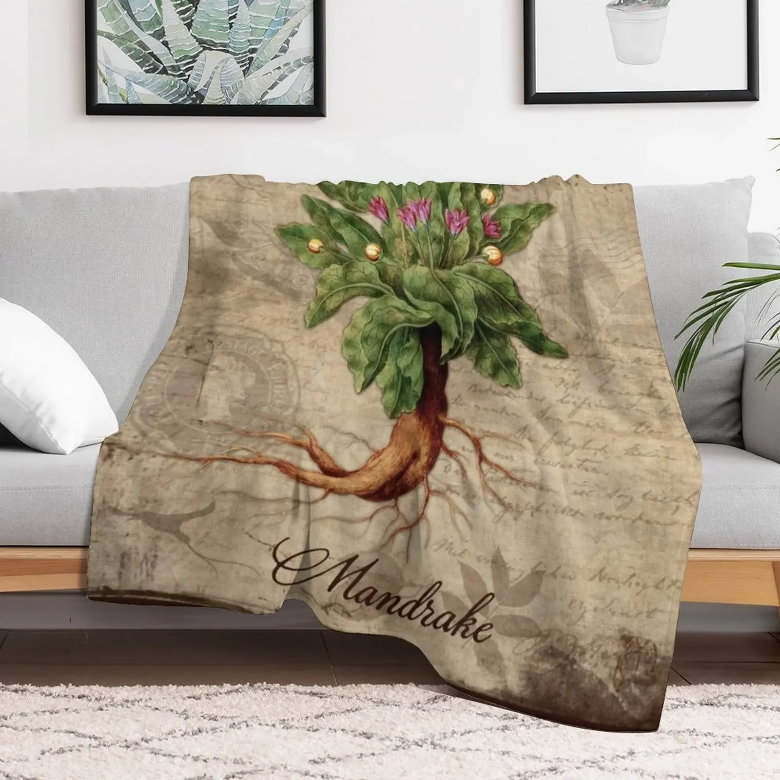 Mandrake Plant Vintage Botanicals Garden collection Throw Blanket Bed linens Decoratives Beach Furrys Blankets