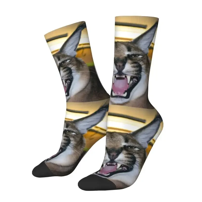 Kawaii Big Floppa Caracal Cat Funny Meme Socks Men Women Warm 3D Printed Sports Basketball Socks