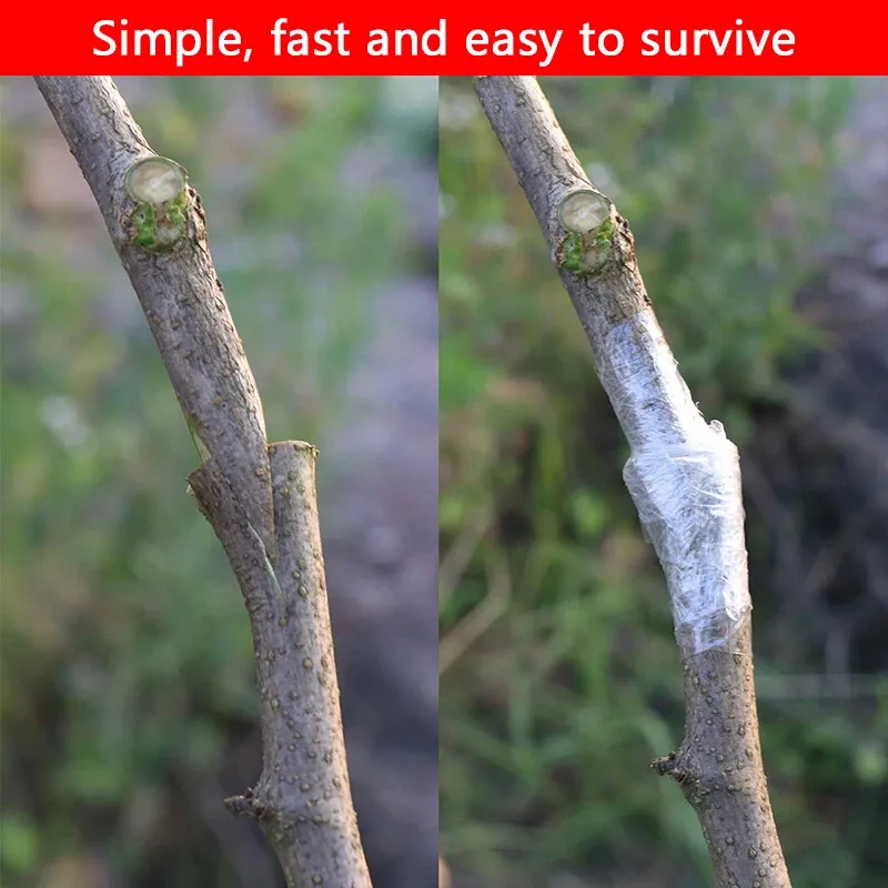 Fruit Tree Seedling Grafting Scissors J60 Grafting Machine Grafting Tool Holder
