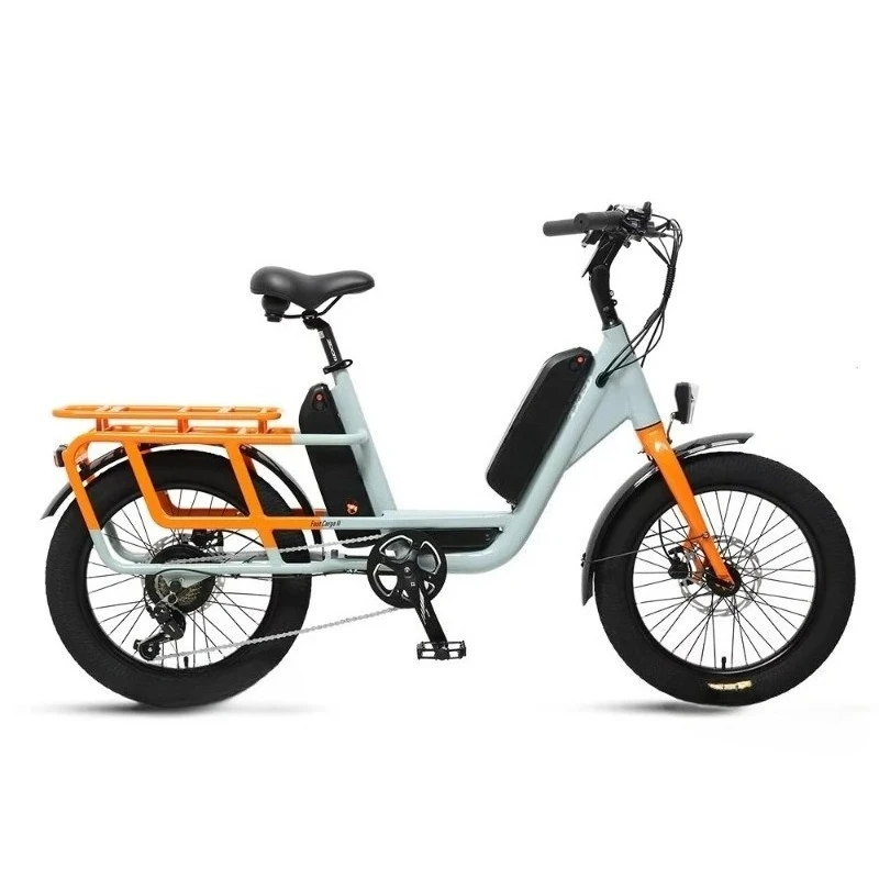 Good stuff Unique Design Dual Lithium Battery 20 Alloy Frame Electric Delivery Cargo Bike with Brushless 48V/250W Rear Motor