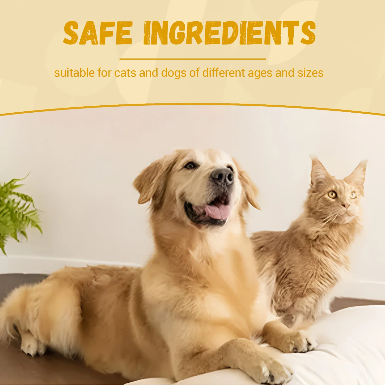 Pet Nutrition Supplements Cats Dogs Diarrhea Vomiting Treatment Improve Appetite Protect Stomach Anxiety Relief Dog Health Drops