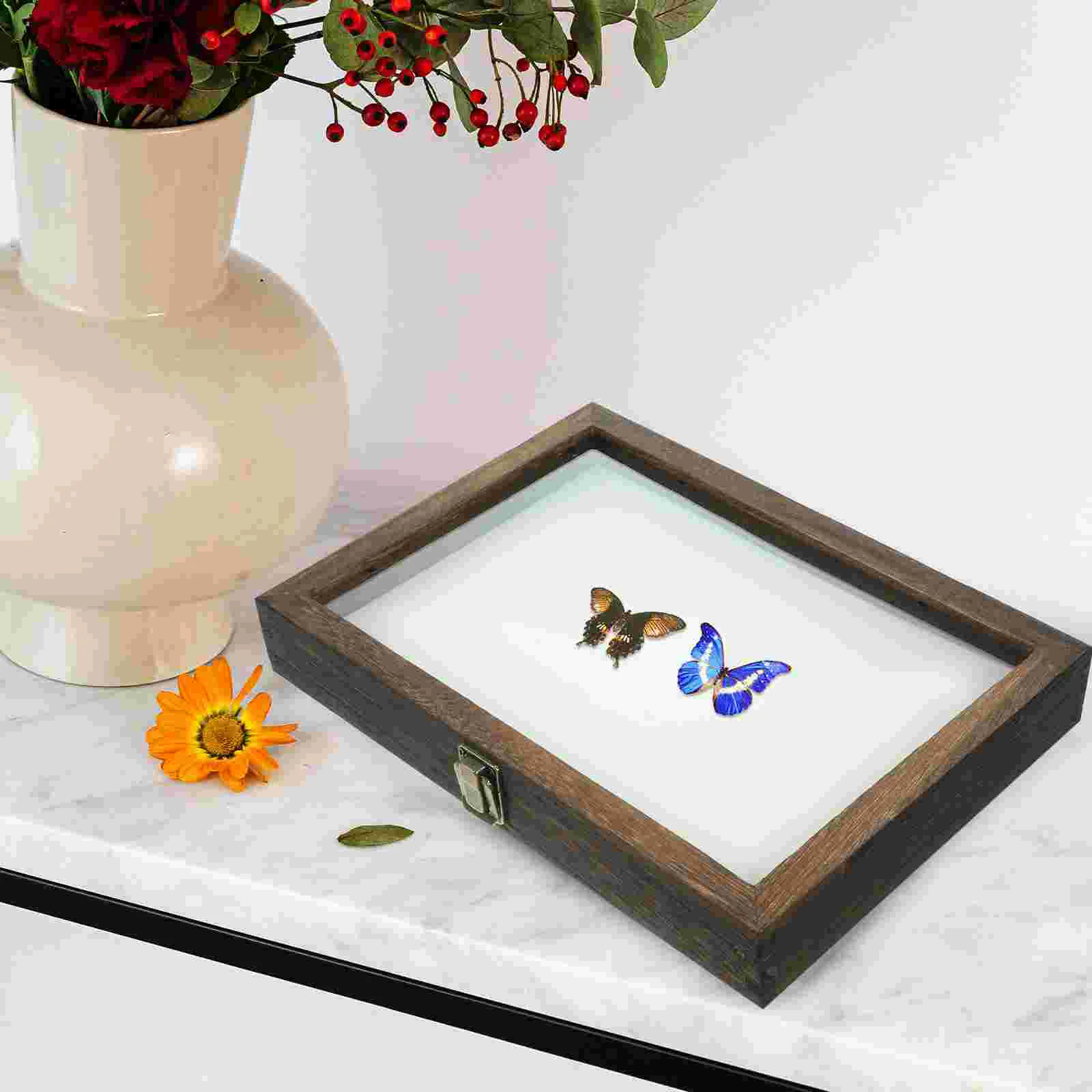 Insect Specimen Box Display Case Show Cabinet Shadow Boxes Bug Storage Container Frame Wood Showcase Holder