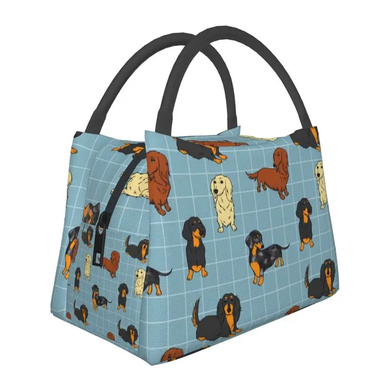 

Cute Dachshund Insulated Lunch Bags for Women Wiener Sausage Badger Dog Resuable Thermal Cooler Bento Box Outdoor Camping Travel