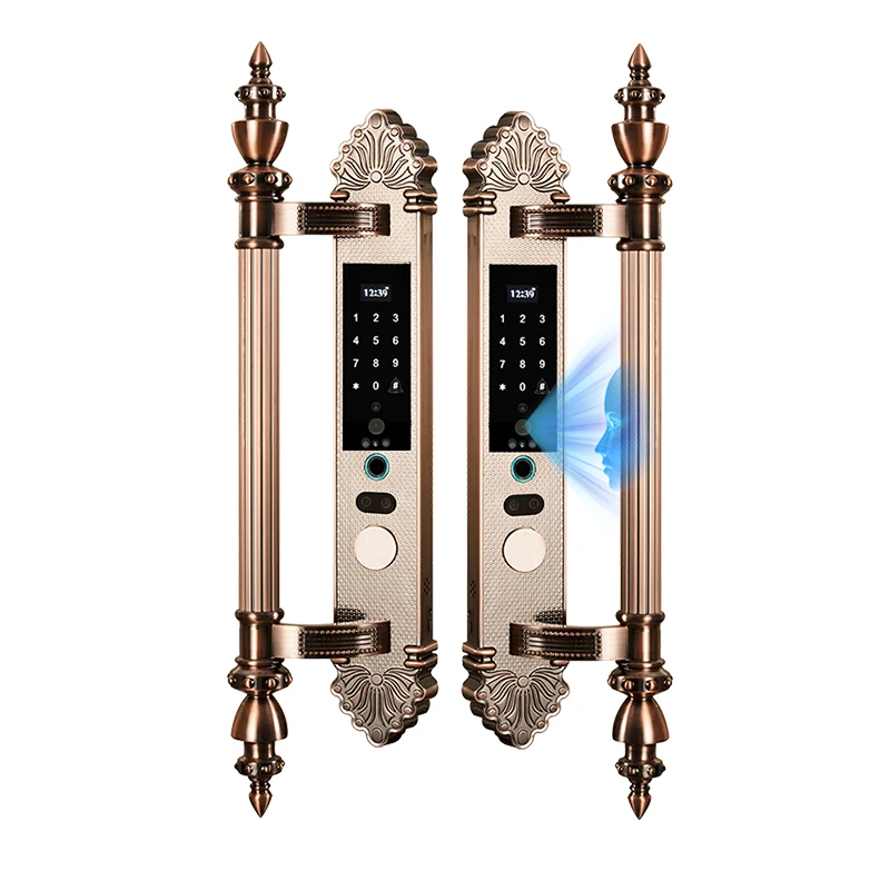 Roman column Manor Residential Smart Home Electric Lock WiFi APP Fingerprint Deadbolt for Wood Door Slide Cover Smart Lock