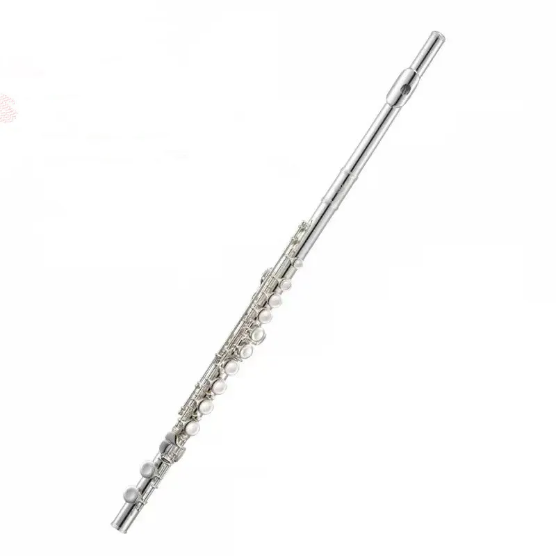 Co branded standard silver plated flute 17 dual-purpose C key beginner's entry professional instrument