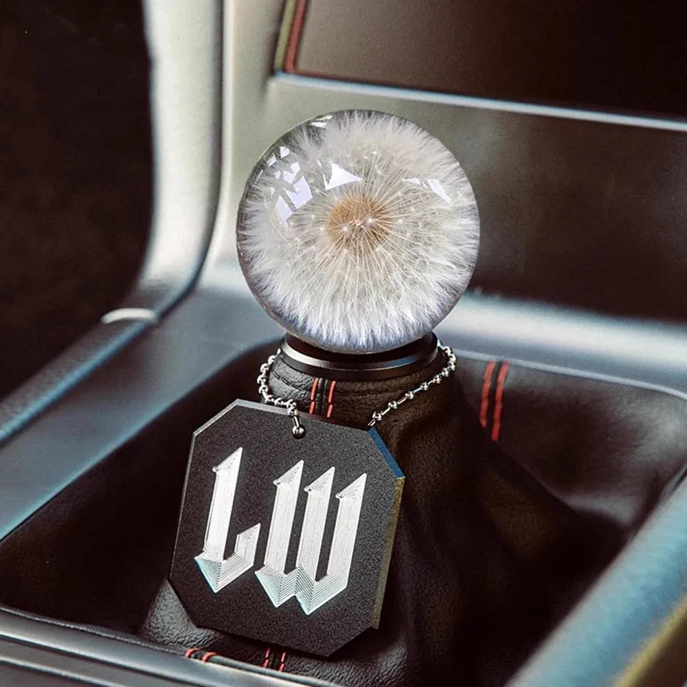 Universal 70MM Racing Crystal Ball Accessories for Car Gear Shift Knob Back Ring Transparent Dandelion Real Flowers Car Styling