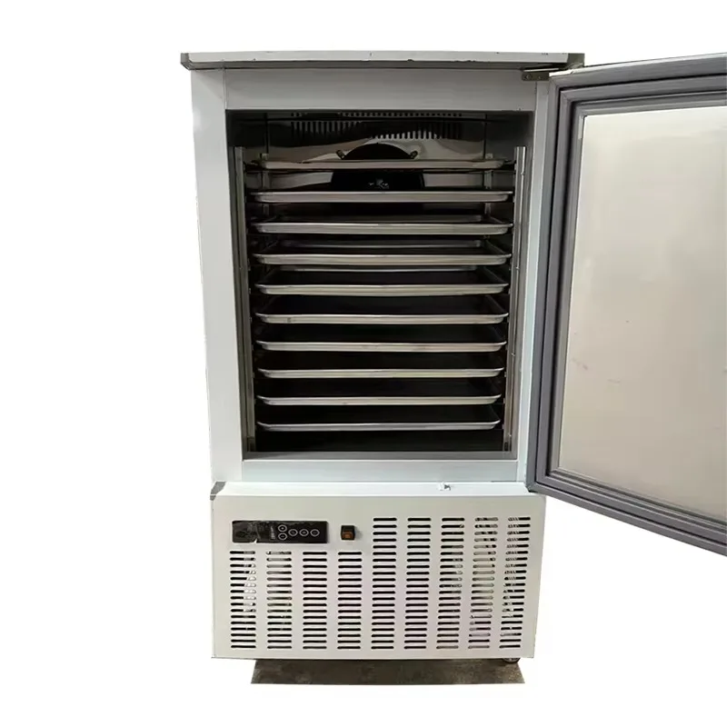 10Trays IQF -45 Temperature Plate Freezer Fast Quick Shock Air Cooling Blast Chiller  Fish Meat Bread