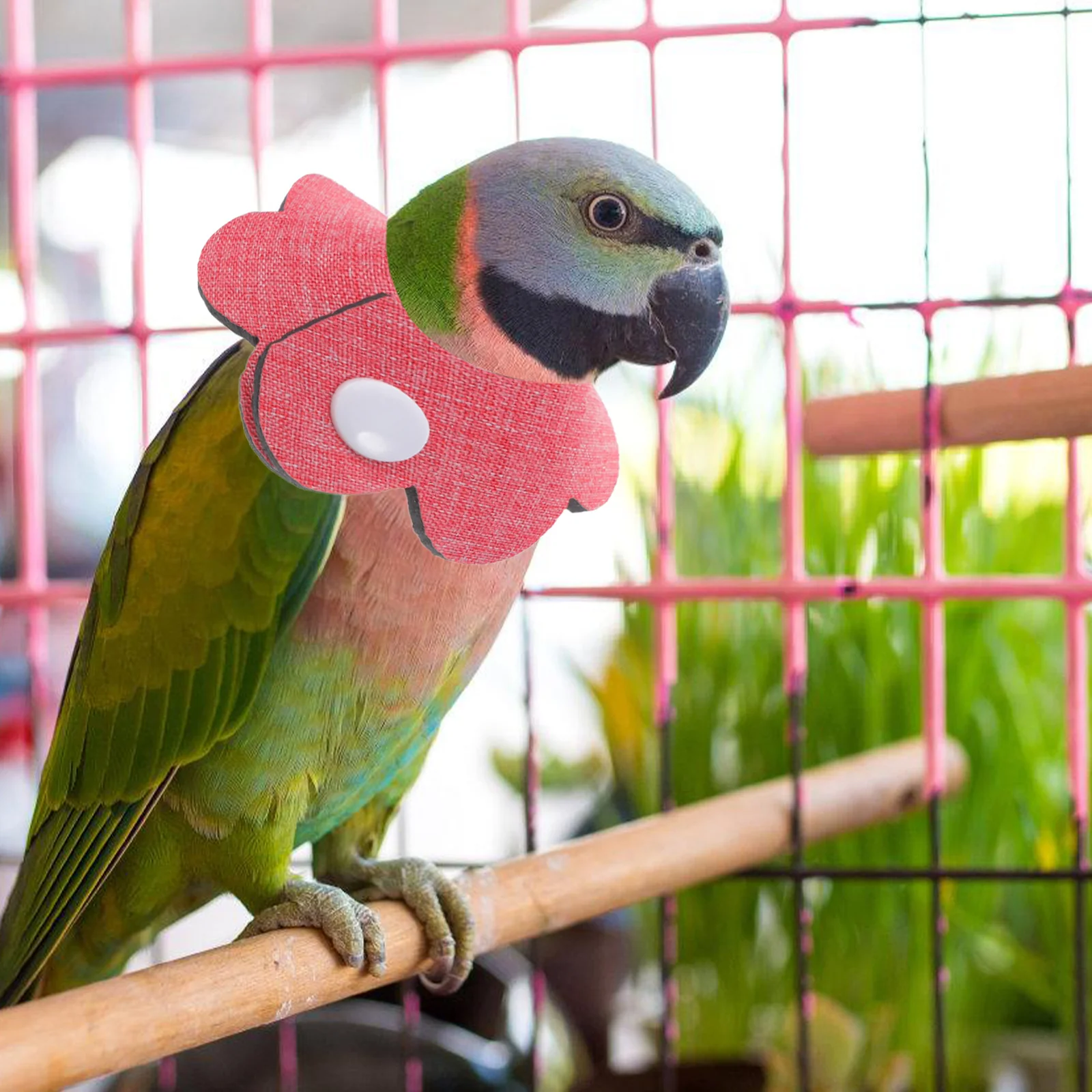 

2Pcs Bird Cone Collar Anti-Biting Pet Recovery Parrot Neck Protector Easy to Use Bright Color Cone Collar Parrot Collar”