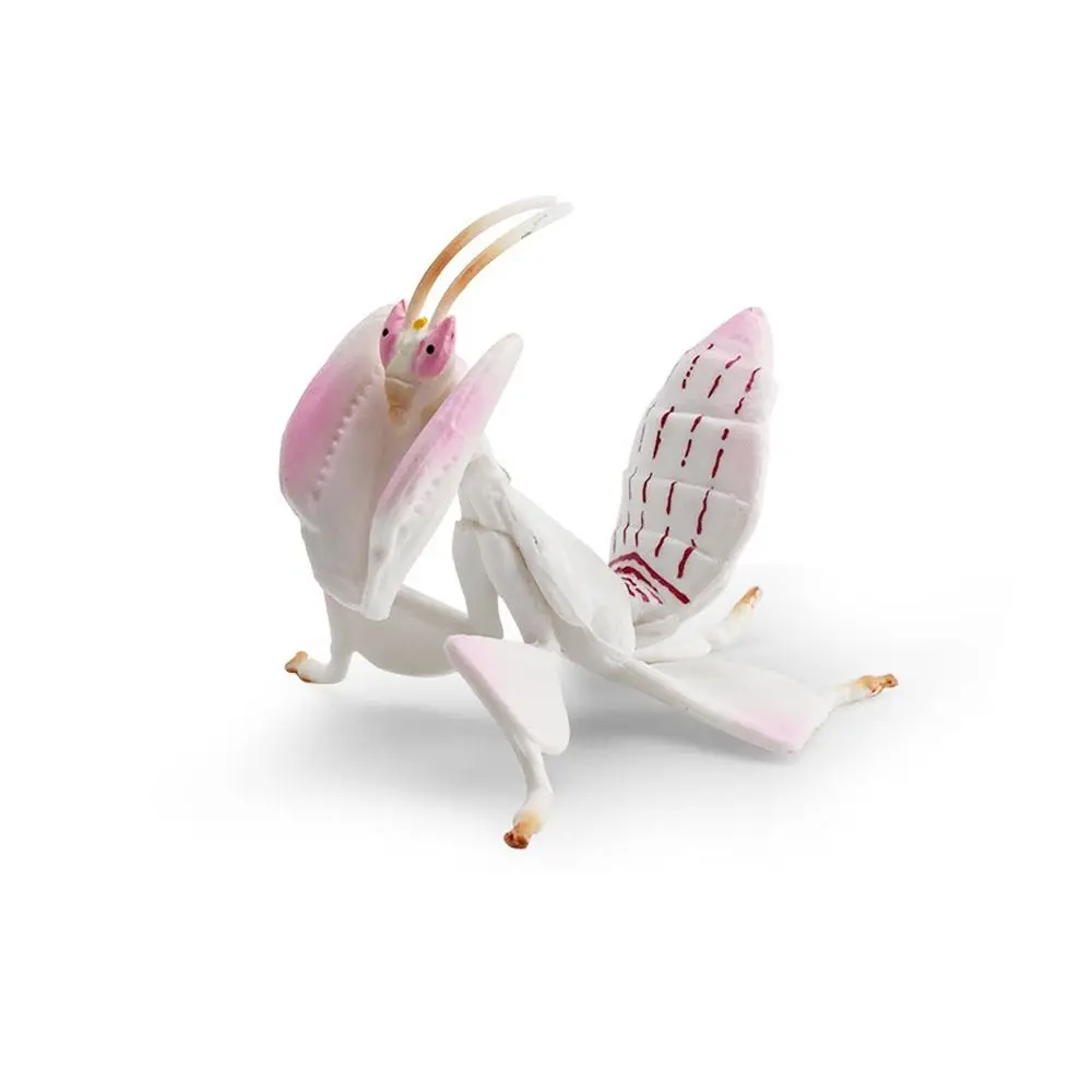 Simulation Insect Animal Model Deroplatys Desiccata Orchid Flower Mantis Action Figures Cognitive Education Teaching Aids Toys