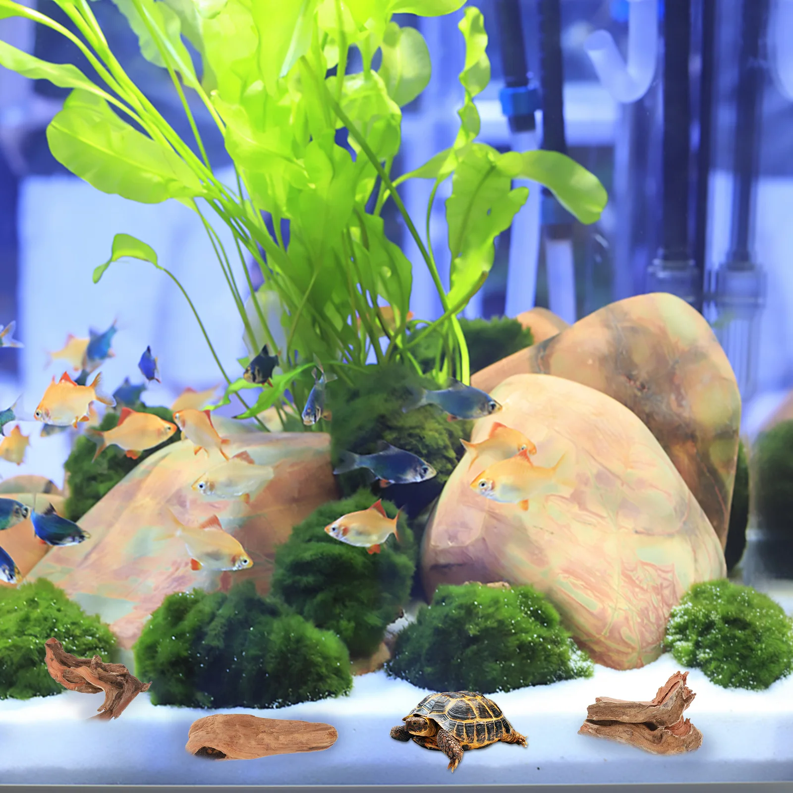 

10pcs Coral Wood Aquarium Driftwood 9-14cm Random Shape Fish Tank Decor Natural Home Ornament Eco Friendly Pet Supplies Water