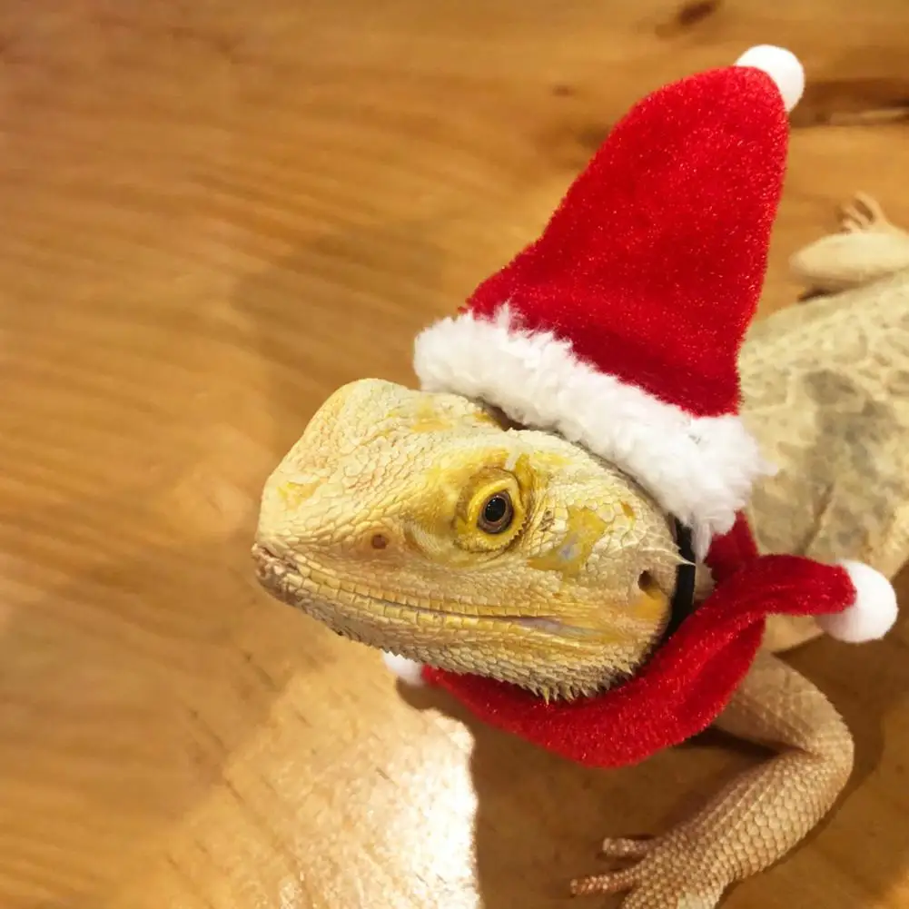 Reptile Rabbit Cosplay Hats with Scarf Small Animal Headwear Caps Dress Up Soft Christmas Lizard Santa Hat for Amphibians