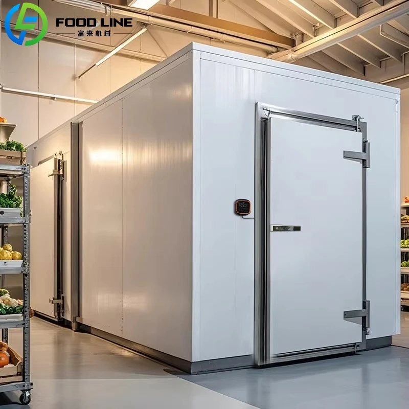 Custom Cold Food Storage Container Cool Room Refrigeration Unit Snacks Meat Freezer Cold Unit For Business And Industry
