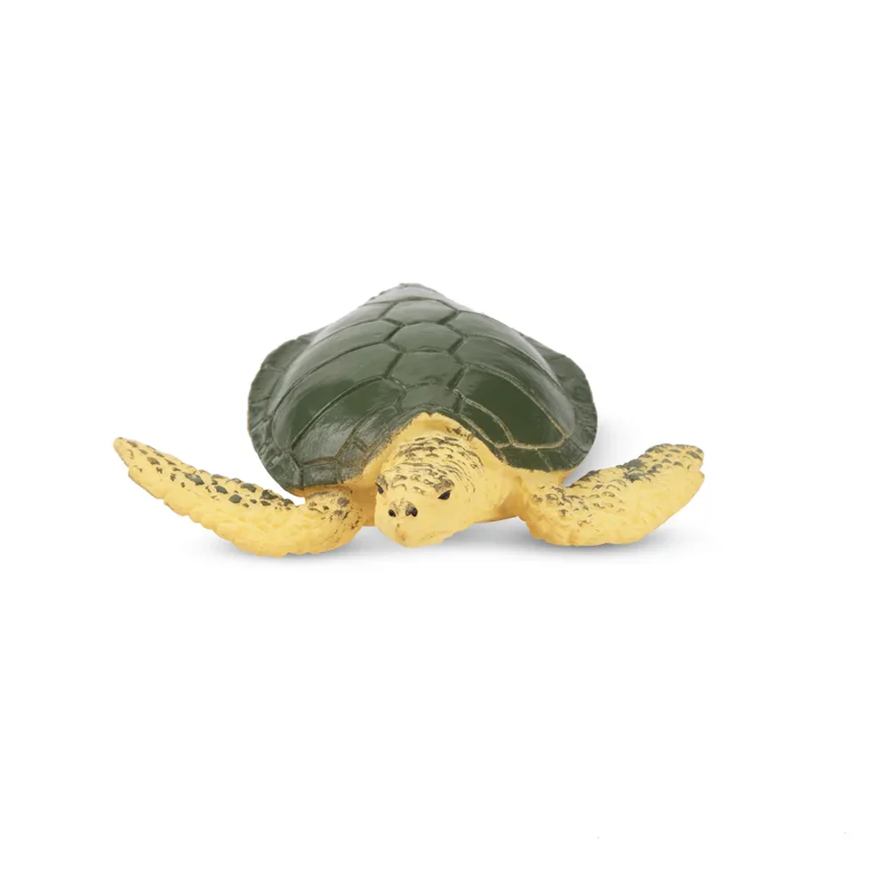 Toymany จําลองเต่าทะเล Ocean สัตว์ของเล่นมินิตัวเลขตุ๊กตา Action Figurines ของเล่นเด็กของขวัญตกแต่งเค้ก