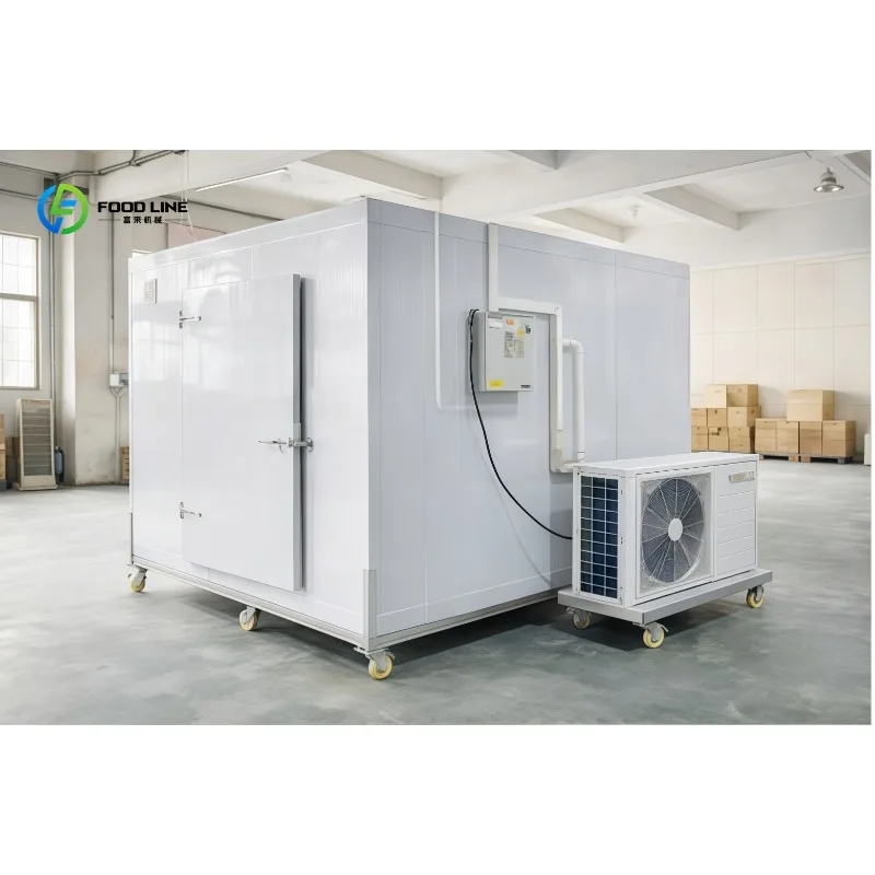 Portable Mobile Cold Room with Wheels Walk in Cooler Freezer Room for Meat Fish Vegetable Fruit Cold Storage Customized