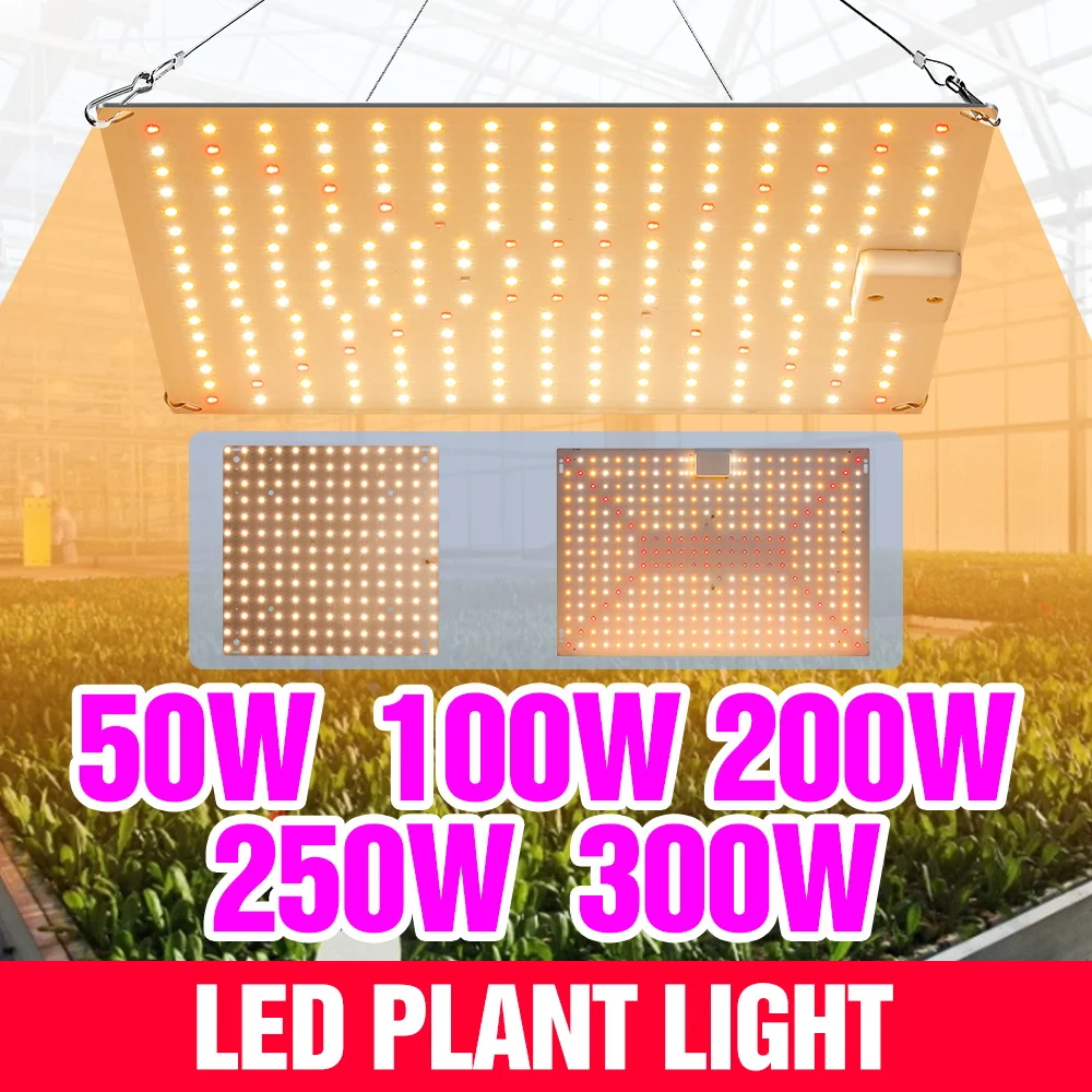 

300W Full Spectrum Grow Light LED Quantum Board Plant Cultivation Lamp Greenhouse Tent Flowers Potted Fruit Vegs Fill Lighting