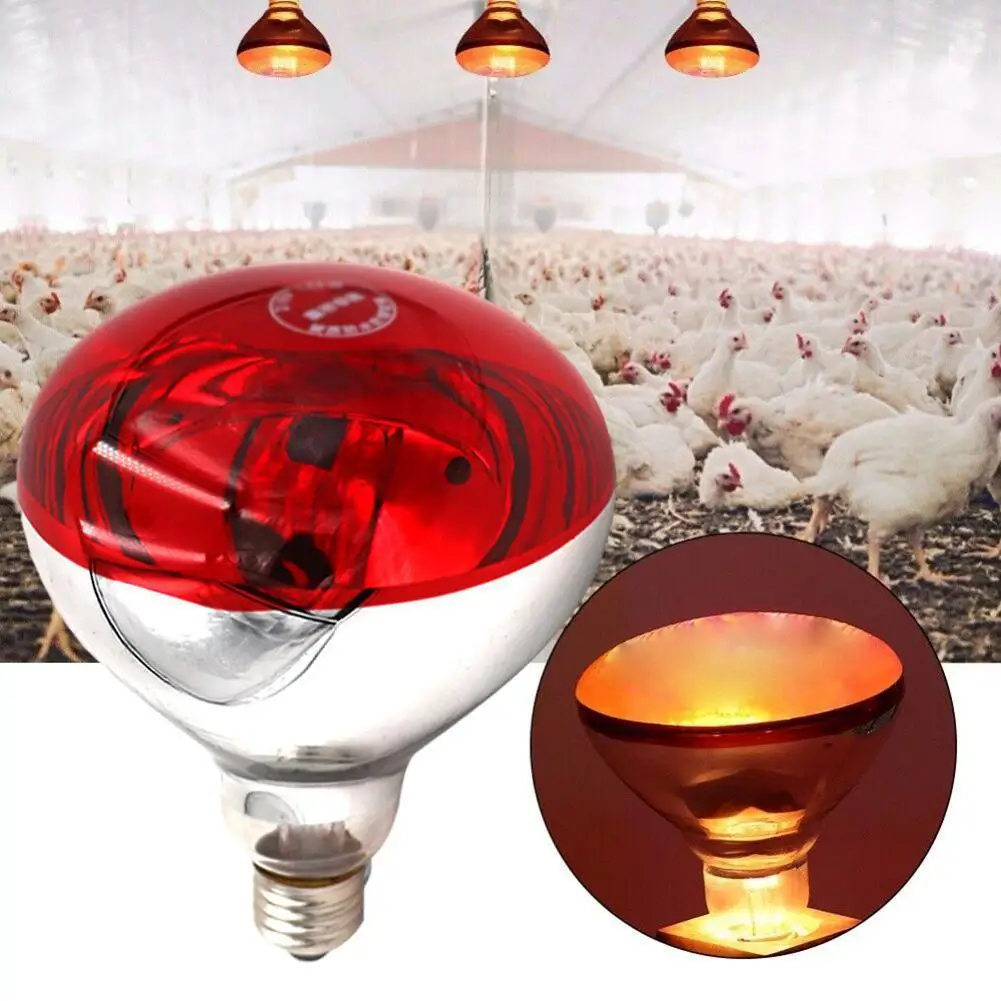 Special Heating Lamp For Breeding 100/150/200/250W Insulation Lamp Heating Baking Lamp For Raising Chicks Piglets Warming Bulb