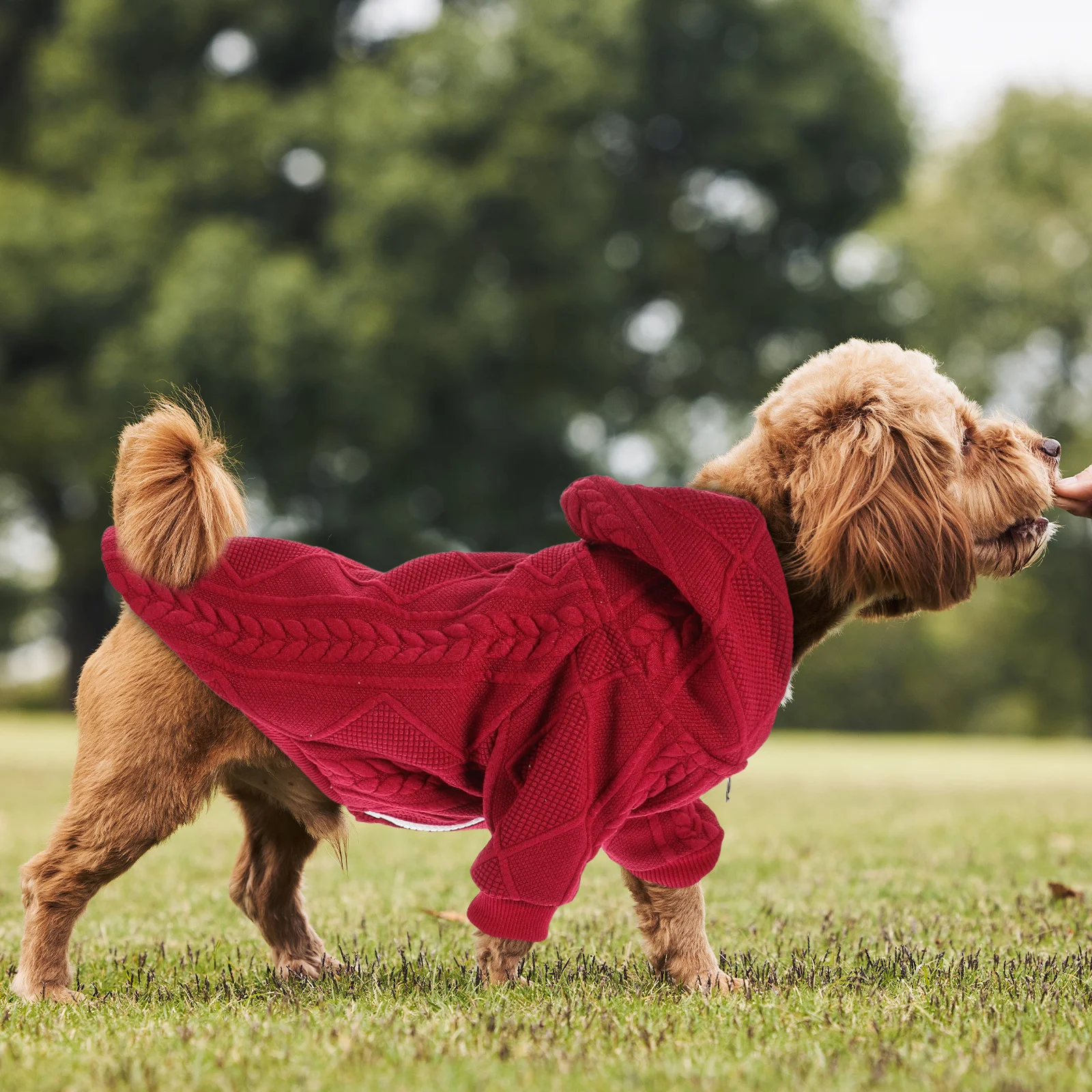 

Knitted Dog Sweater with Hood Warm Winter Pet Clothing Comfortable Soft Fabric Ideal for Cold Weather Protection M