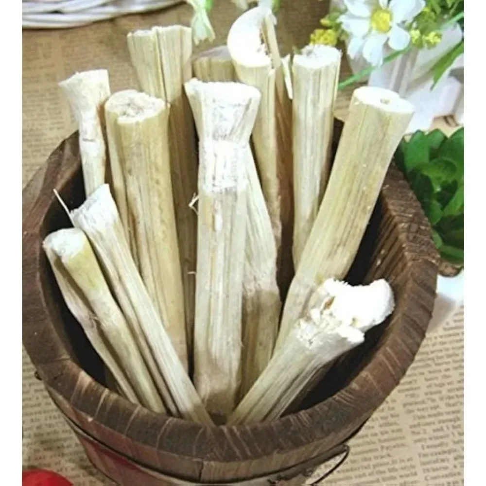Natural Apple Tree Branch Toy For Pet Parrots Rabbits Guinea Pigs Hamsters Wooden Bird Parrot Hamsters Chewing Toys view 2