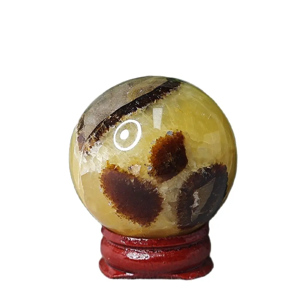 Septarium Turtle Stone Ball Geode Hand-polished Home Spiritual Garden Decoration Witchcraft Altar Crystal With Stone Healing