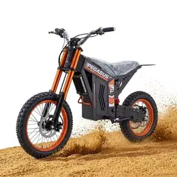 New Fashion2000W 48V 21AH 60km/h Mountain E Motorcycle Aluminum Alloy Dirt Bike 14
