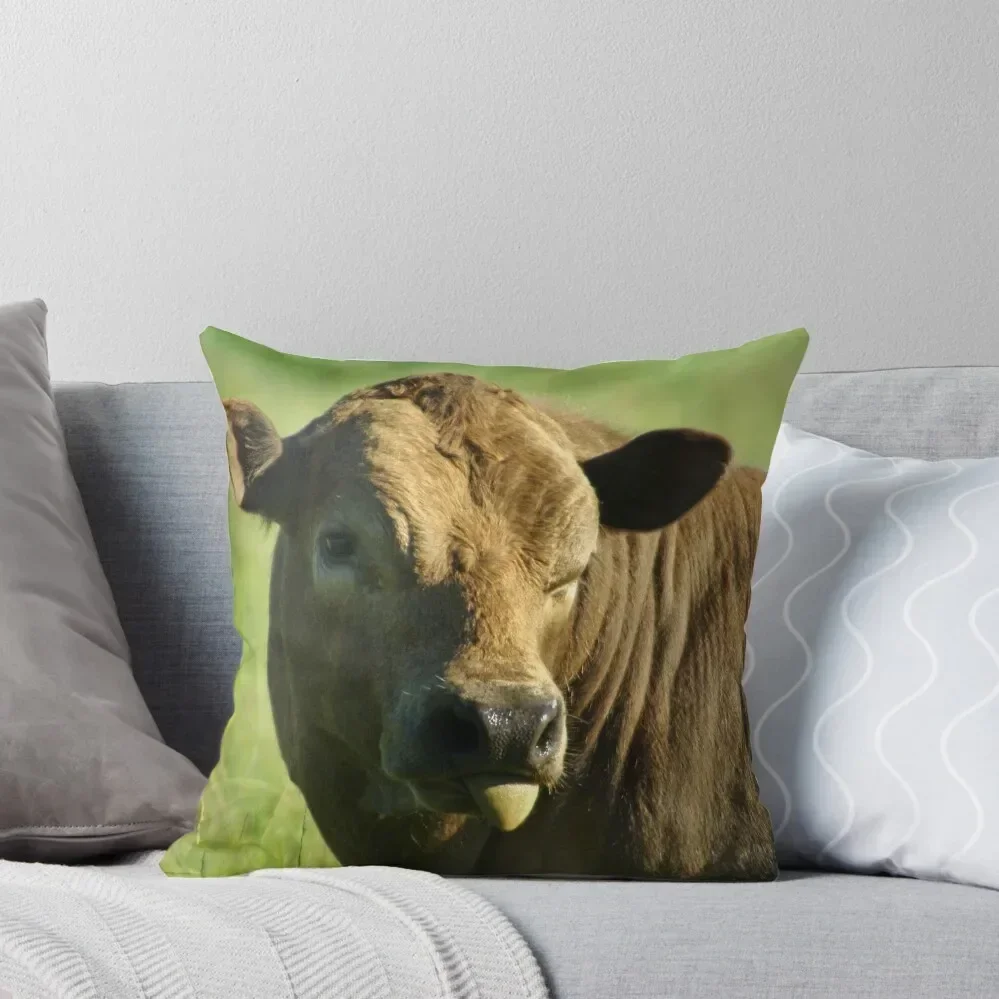 

HERE'S TO THE NEW YEAR Throw Pillow luxury covers Couch Cushions Sofas Covers christmas decorations 2025 pillow