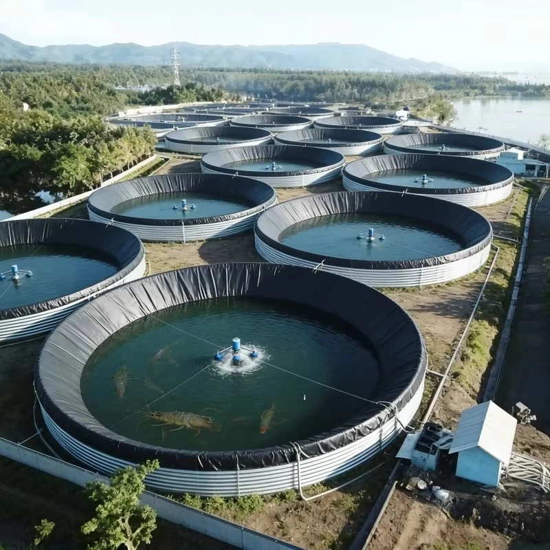 Factory Supply HDPE Geomembrane Pond Liner Custom Thickness for Aquaculture Reservoir Landfill and Mining Projects
