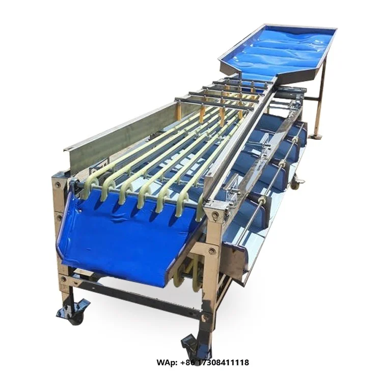 Fruit and Vegetable Sorting Machine Fruits Ai Sorting Machine  Fruit Sorting Machine