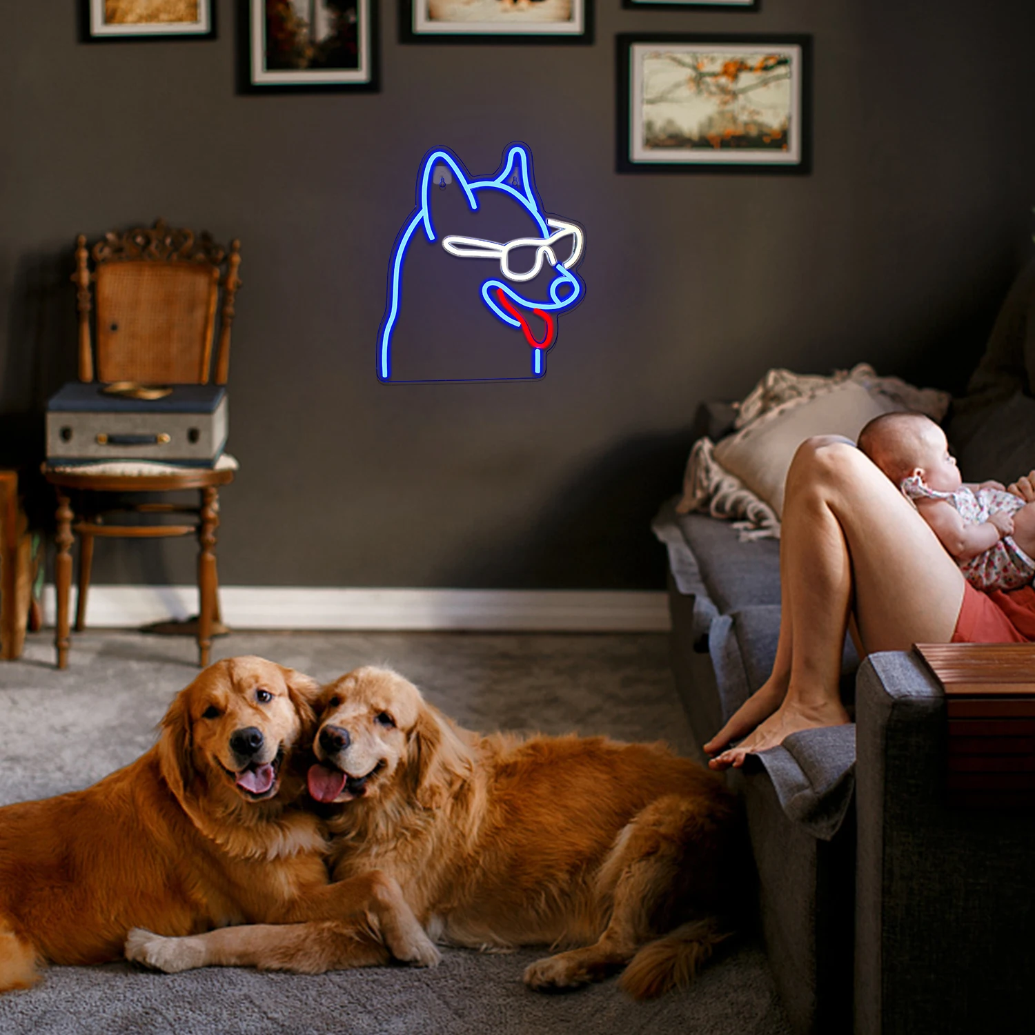 Imagem -06 - Sinal Led Neon Light para Wall Decor Cool Puppy Neon Light Alimentado por Usb Anime Light up Signs Pet Shop Kid Room