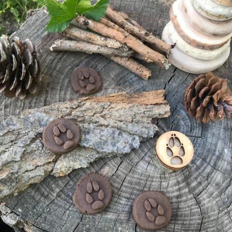 Paquet de 9 pistes d'animaux en bois, timbres Playdoh, imprimés d'animaux