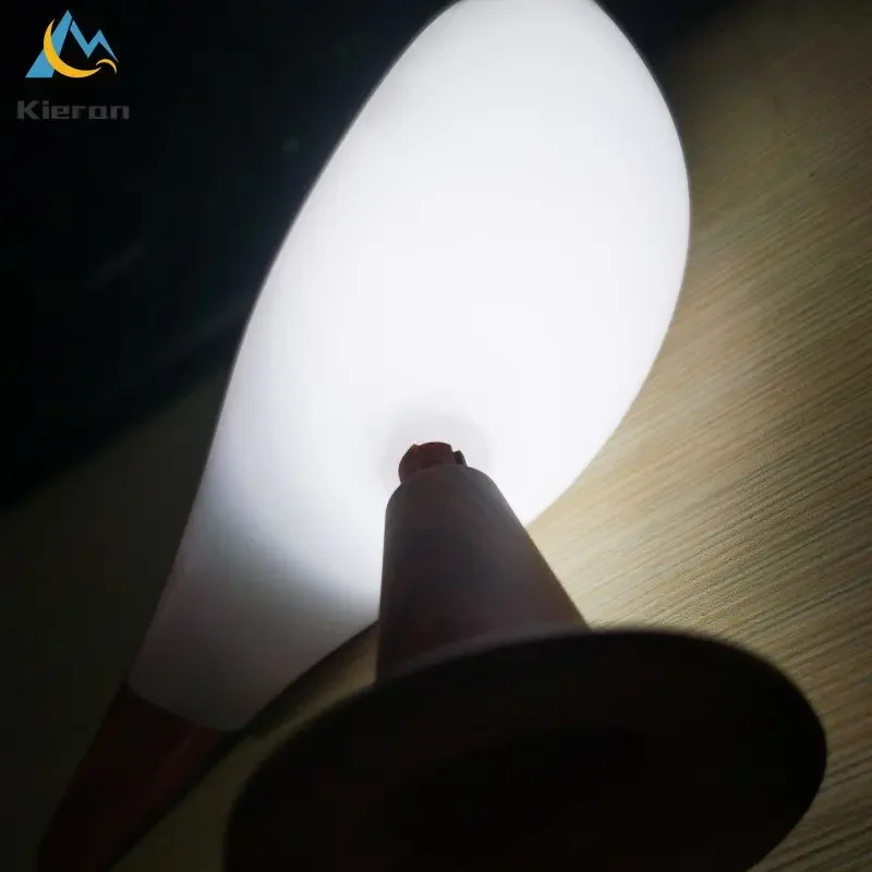 Luz Led moderna y sencilla para escritorio, lámpara de mesita de noche para dormitorio, estudio, sala de estar, decoración de pájaro táctil,