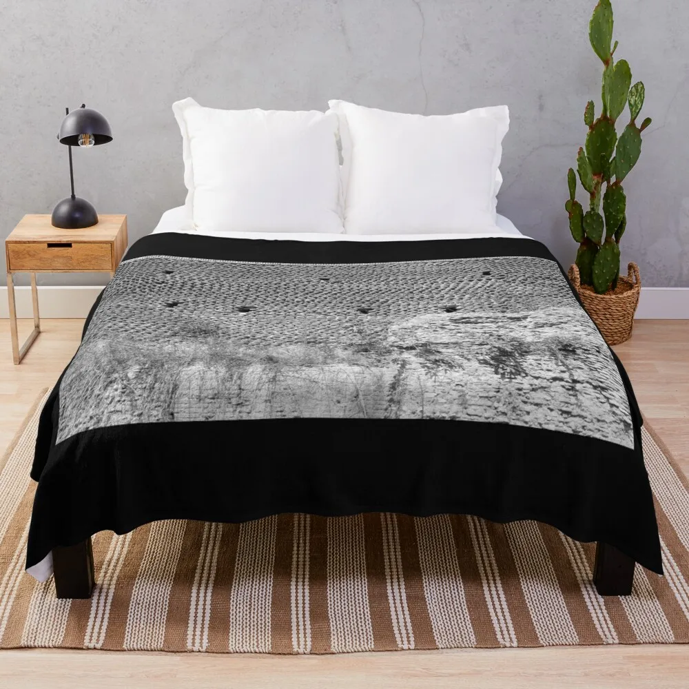 Ancient roman wall full of texture photo by Genaro Throw Blanket Sofa Bed covers Blankets