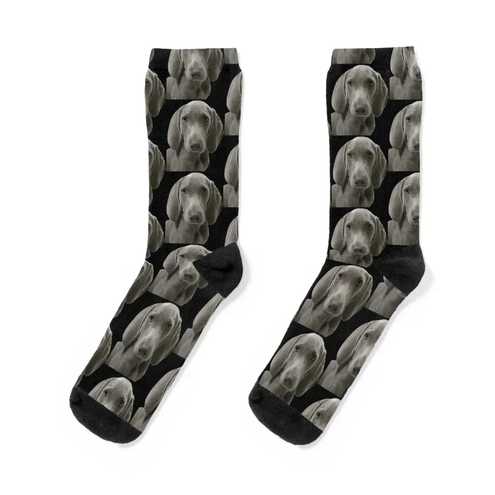 Serious Look Weimaraner Puppy Face Front Socks men cotton high quality ankle Wholesale Socks Men Women's