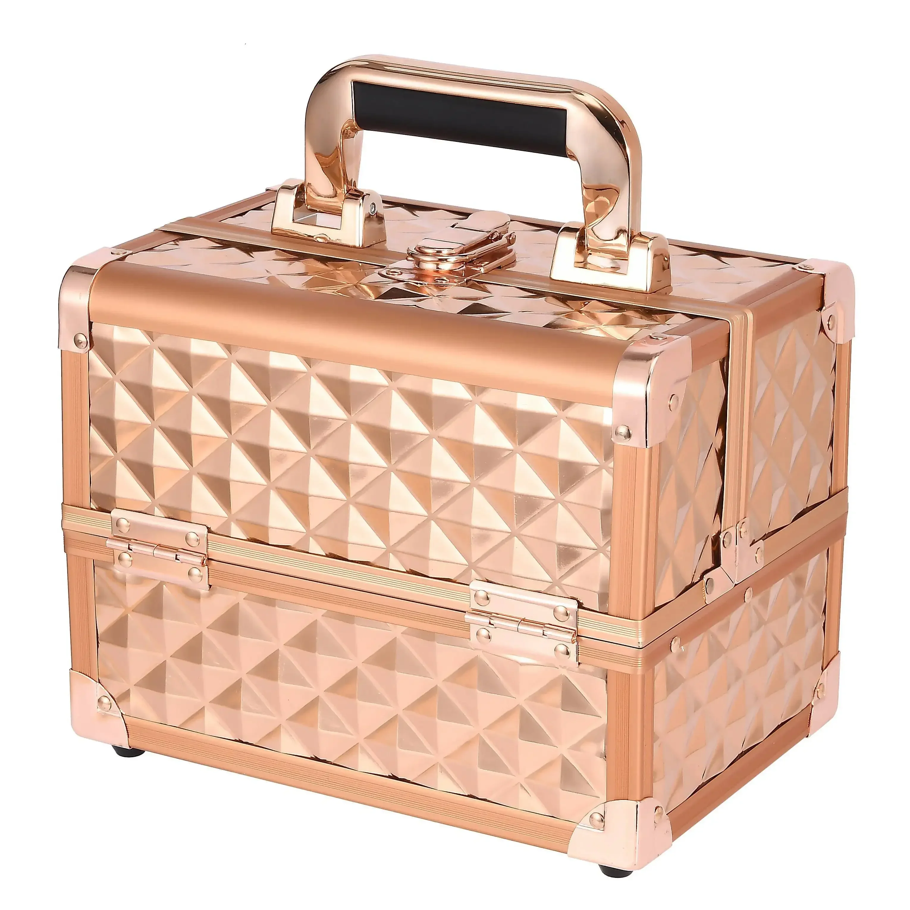 2024 Professional Makeup Box Aluminum Alloy Make Up Organizer Women Cosmetic Case with Mirror Travel Large Capacity Suitcase Bag