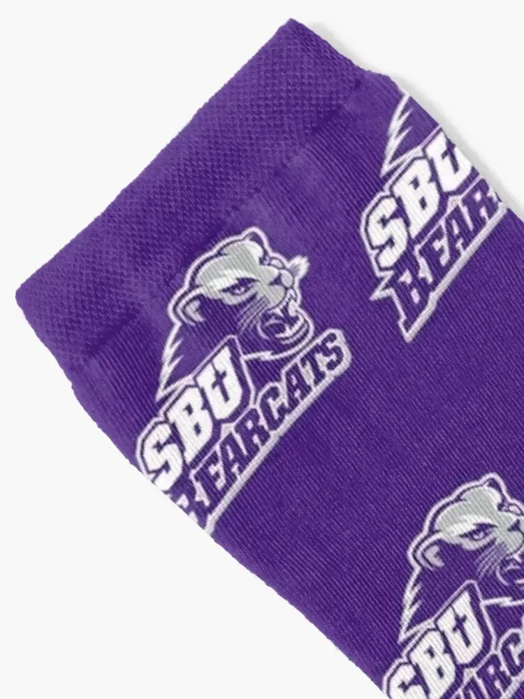 Southwest Baptist Bearcats Socks christmas stocking Argentina ankle Boy Child Socks Women's