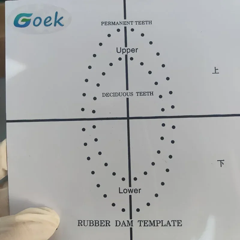 Afdeling tandheelkundige stomatologie Elastiekje Doek Geperforeerde plaat Lokaliseren Retentie Plastic plaat Helder niet-vervagend hulpmiddel