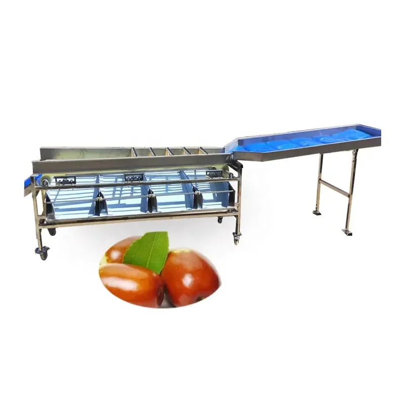 [2026] Fruit Grading Size Blueberry Sorter Grader Cherry Orange Berry Grader Fruit Sorter