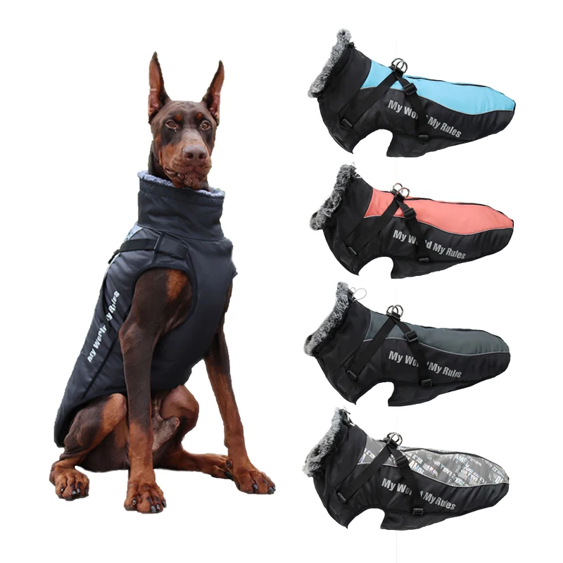 #72 Top Waterproof Dog Jackets Picks for Every Budget