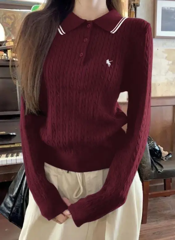 

2025 Autumn Casual Lapel Fashionable Color Blocking Button Embroidery Decoration Fried Dough Twists Jacquard Knitting Sweater