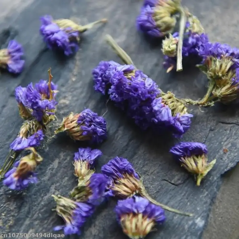 أعلى الطبيعية ننسى لي لا الزهور المجففة Diy بها بنفسك ديكور المنزل الصابون صنع الشموع الحرف وسادة ملء #4