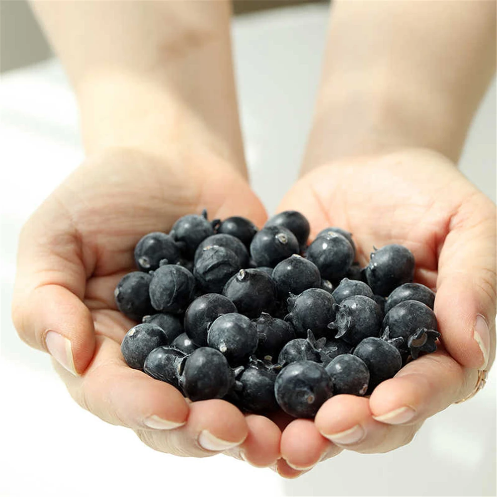 

fake fruit realistic photography props hotel home room cafa bar shope store decoration Artificial blueberry Simulation fruit