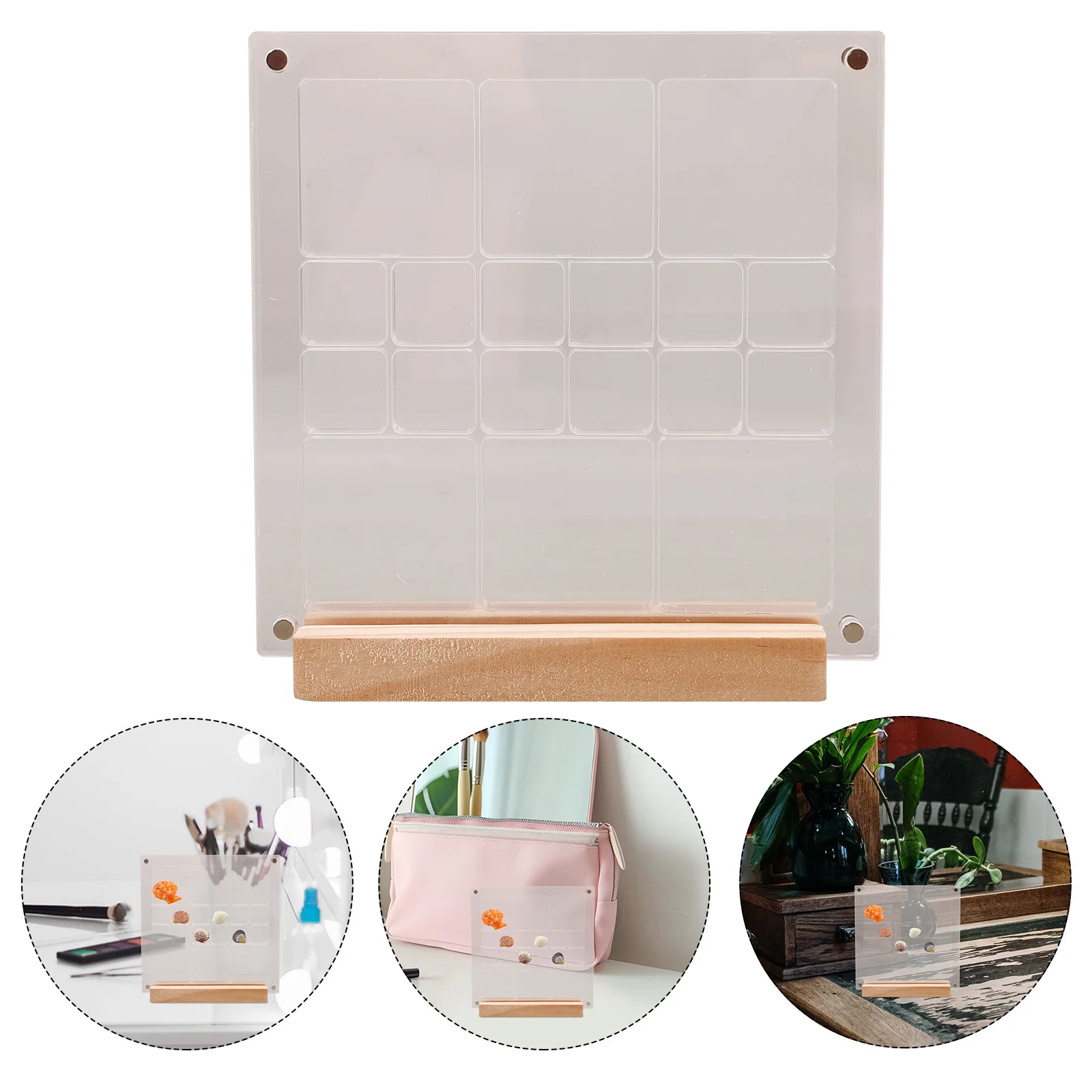 

Sophisticated Acrylic Seashell Box Clear Display Case for Organizing Mini Jewels Specimens Small Objects Wood Base