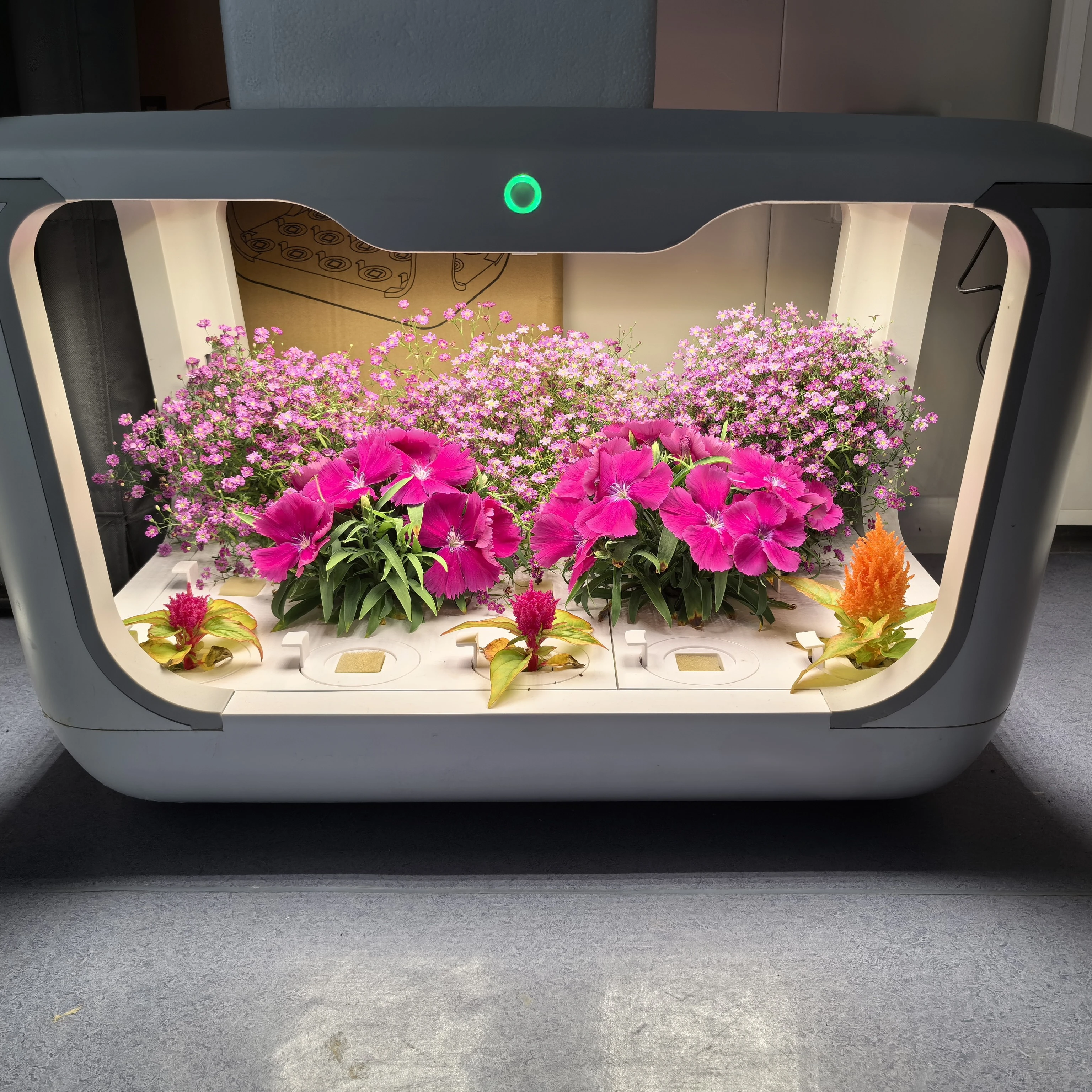 

Small Indoor Hydroponic Grow Box With APP & WiFi Control For Home & Restaurant Use Featuring A Core Pump Component