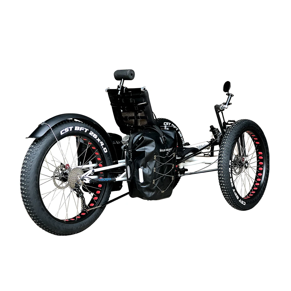 Low Rolling Resistance Large Wheel Full Fat Tyre Recumbent Trike Snow Bicycle for Adult
