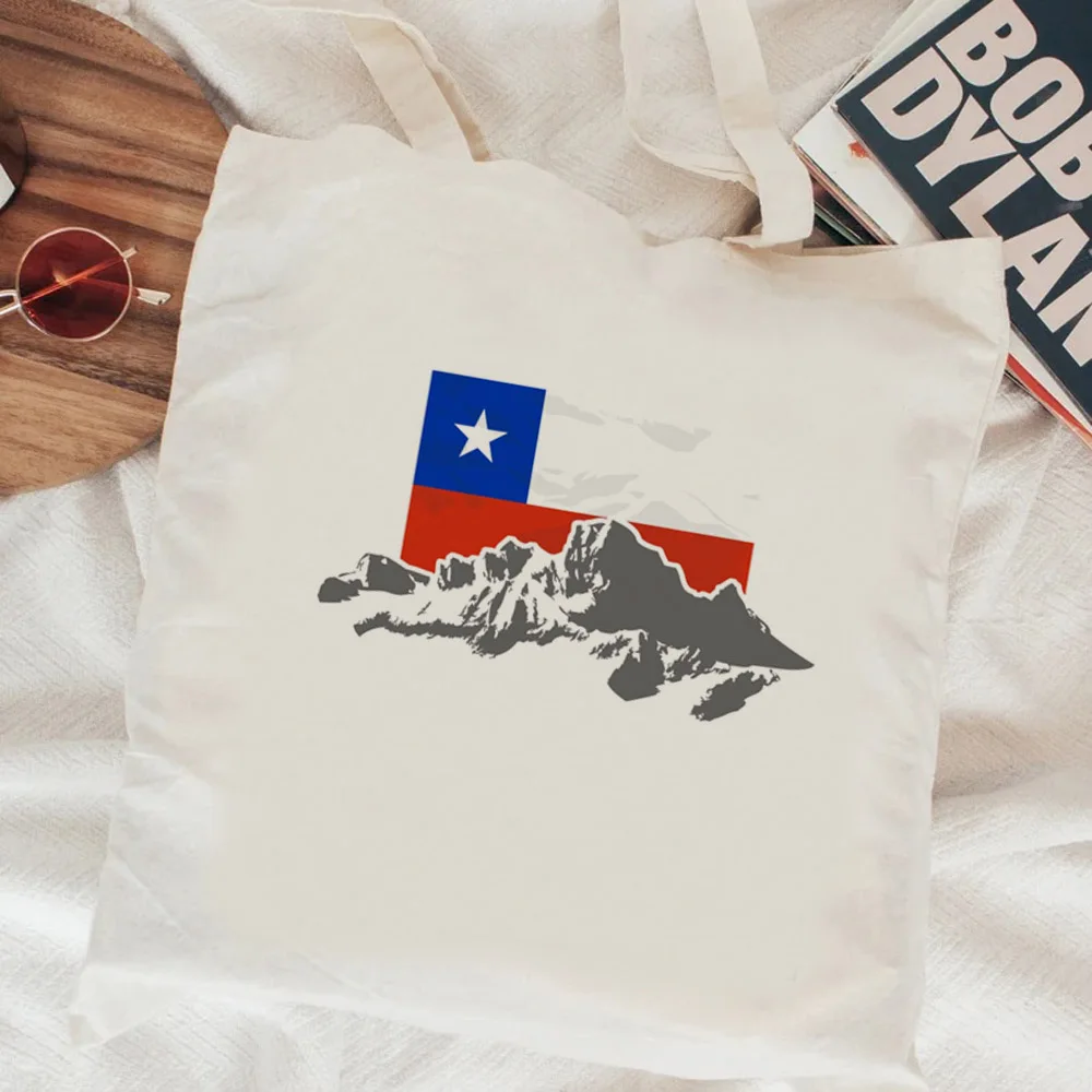 حقيبة تسوق جوت ، حقيبة حمل ، Bolsas De Tela Canvas ، قماش شيلي القابل لإعادة الاستخدام #1