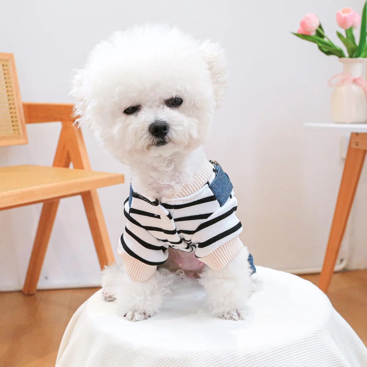 1PC Pet Clothing Spring and Autumn Striped Classic Four Leg Jeans Suitable for Small and Medium sized Dogs